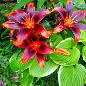 Meet your Posher, Doris